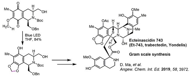 2019oftheyear03TotalSynthesis07Et743.jpg