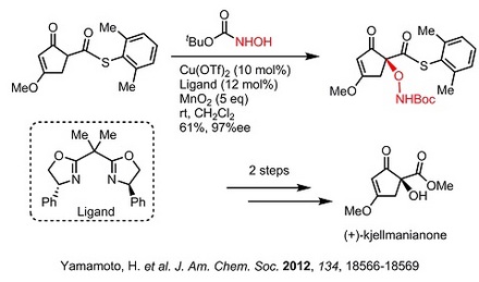 3 Yamamoto synthesis.jpg