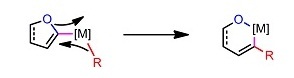 5 dyo metallate.jpg