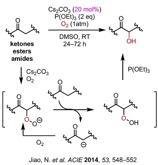 7 Jiao oxygen hydroxylation.jpg