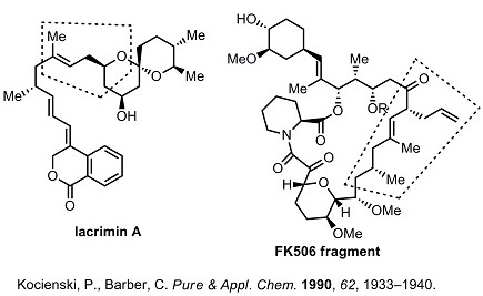 7 Kocienski work.jpg