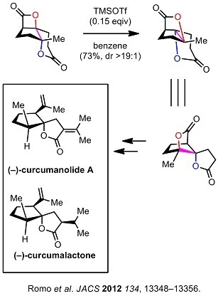 9 dyo Romo synthesis.jpg