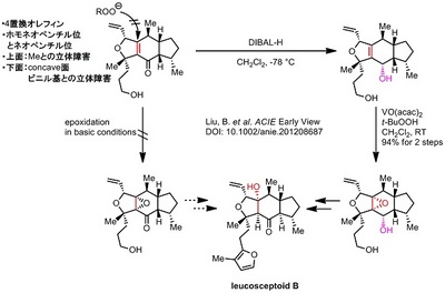 Liu total synthesis.jpg