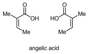 angelic acid.jpg