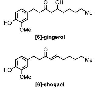 gingerolとshogaol.jpg