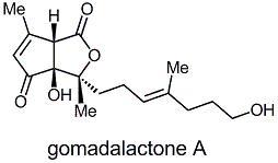 gomadalactone.jpg