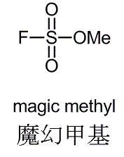 magic methyl.jpg