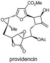providencin.jpg