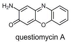 questiomycin A.jpg