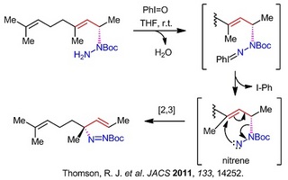 thomson diimide rearrangement.jpg