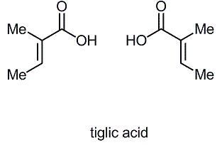 tiglic acid.jpg